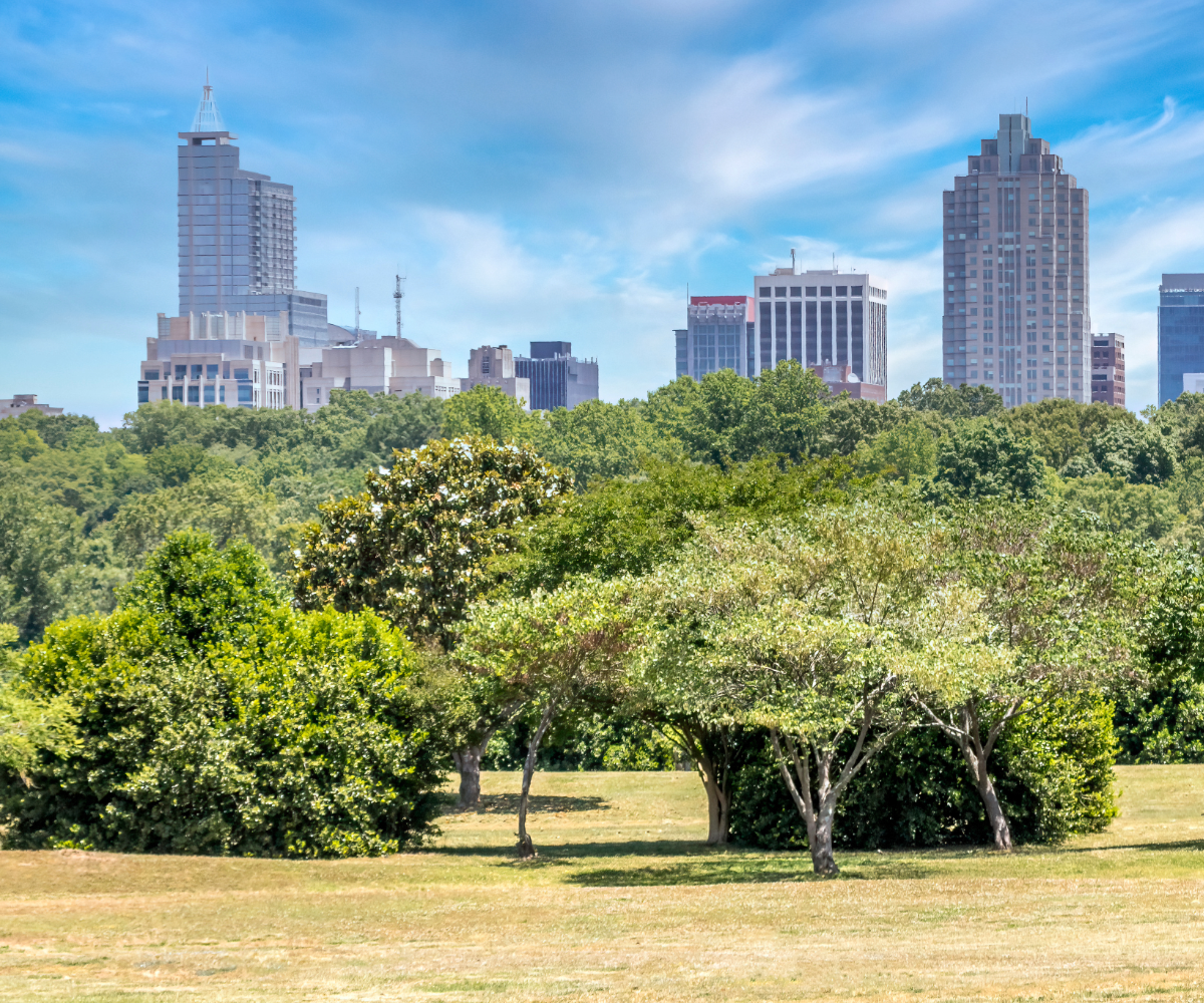 This is the city of Raleigh North Carolina's skyline in a nice summer day from a park full of trees.